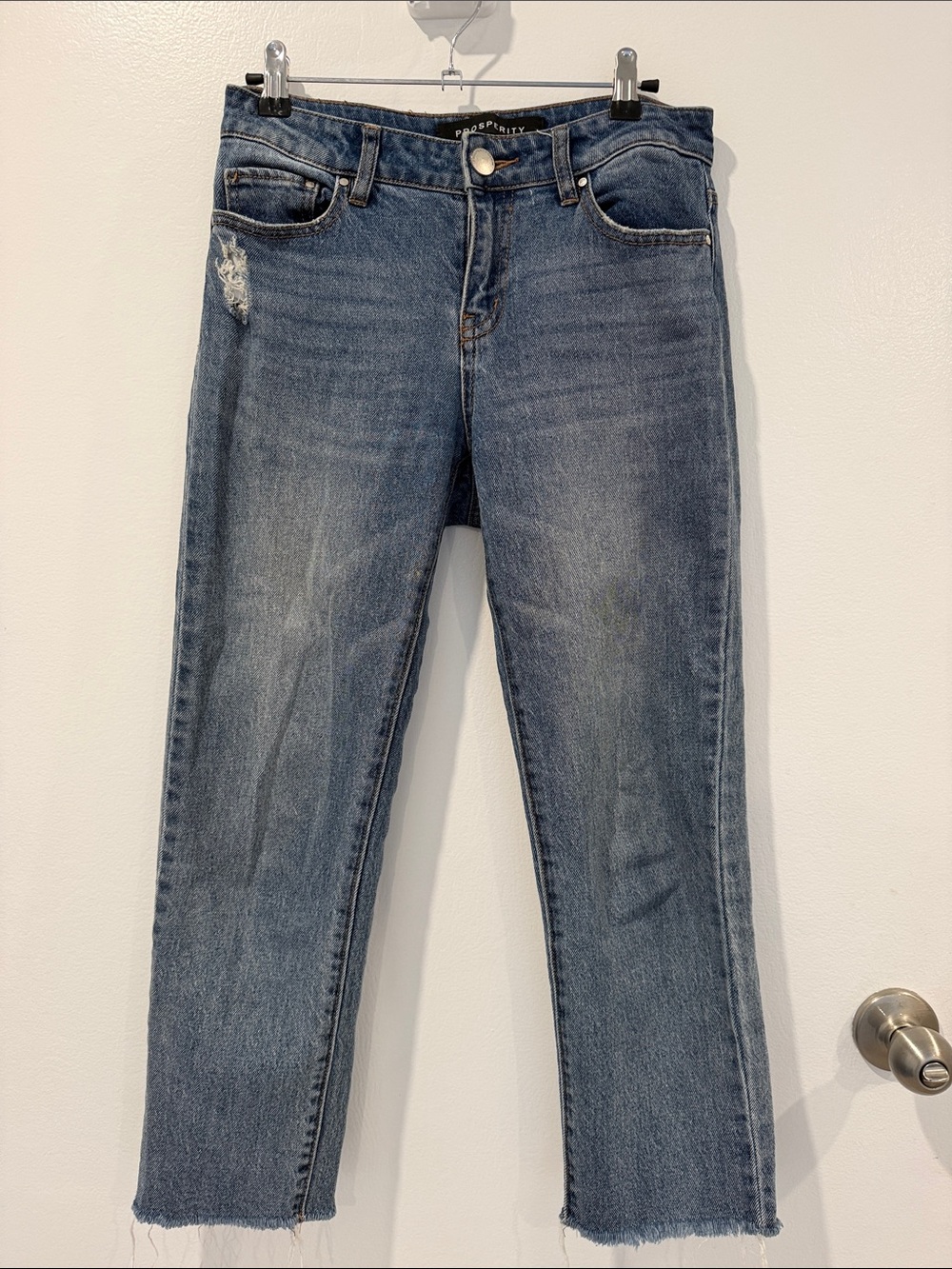 Prosperity Denim Women’s Cropped Raw Hem Jeans 25